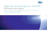 Neue Energien 2020 Bioenergie - Klimafonds ... Thematisch gegliederte Übersicht geförderter Projekte und Ausschreibungen: > Energie der Zukunft (eine Ausschreibung) > Neue Energien