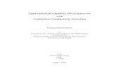Applications of Capillary Electrophoresis with Contactless · PDF file 2014. 1. 14. · Summary This thesis focuses on the application of capillary electrophoresis with capacitively