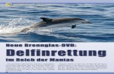 Neue Brennglas-DVD: Delfinrettung - Julia Brunke · 2020. 7. 27. · Es war unglaublich: Der Delfin hielt ungefähr drei bis vier Minuten still. »Er wollte, dass ihm geholfen wird.