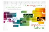 Akademie der Wissenschaften final · Support Austrian bio-industry to become global players on bioenergy markets. Biomass combustion systems – industrial ... AEBIOM Statistical