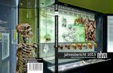jahresbericht 2013 - Naturhistorisches Museum€¦ · 2013 beigetragen. Und bei der „Langen Nacht der Museen“ im Oktober 2013 erreichte das NHM – mit über 14.000 Besuchern
