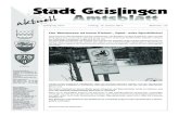 Stadt Geislingen Sonnen- · Wehrpflicht zum 1. Juli 2011 ausgesetzt und stattdessen der frei-willige Wehrdienst für Männer und Frauen fortentwickelt. Die Meldebehörde der Stadt