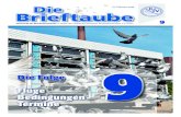 Zeitschrift für Brieftaubenkunde Organ des Verbandes Deutscher Brieftaube - Ausgabe 9... · PDF file 2016. 3. 30. · Zeitschrift für Brieftaubenkunde Organ des Verbandes Deutscher