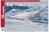 Im Land des ewigen Eises: Grönland Insektensterben …fartmann.net/downloads/articles/Fartmann_et_al_Falke_12... · 2017. 12. 8. · VOGELSCHUTZ 20 | DER FALKE 12/2017 Weihnachtsbaumkulturen
