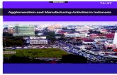 Agglomeration and Manufacturing Activities in …...relative to the textile and garment industries. The boom in mining-related manufacturing and the decline in wood-based industries