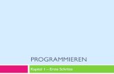 PROGRAMMIEREN - SwissEduc...2 Greenfoot kennen lernen Kara Szenario verstehen Ausführen und schreiben von Programmen 3 Programmieren / Kapitel 1 - Erste Schritte v2.0 Greenfoot Oberfläche