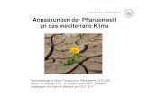 Anpassungen der Pflanzenwelt an das mediterrane Klima · Anpassungen der Pflanzenwelt an das mediterrane Klima Seminarbeitrag im Modul Terrestrische Ökosysteme (2101-230) Institut