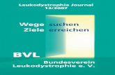 BVL - Betroffenen helfen, Forschung fördern! · 2018. 10. 19. · Vorsitzender des BVL Bundesverein Leukodystrophie e.V Medizinisch-wissenschaftlicher Beirat des BVL Bundesverein