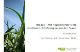 Biogas mit Regelenergie Geld verdienen. Erfahrungen aus der ...Biogas – mit Regelenergie Geld verdienen. Erfahrungen aus der Praxis Annette Keil Herrsching, 20. November 2013 Inhalt