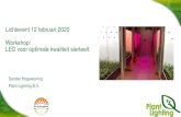 Lichtevent 12 februari 2020 Workshop: LED voor optimale ...€¦ · Tulp gebroeid onder LED Rood-Blauw met of zonder verrood • Geen verrood: blad vouwt niet over volle lengte uit