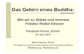 Das Gehirn eines Buddha¼rich_April_2014... · 2014. 6. 9. · Das Gehirn eines Buddha: Wie wir zu Stärke und innerem Frieden finden können Parabola Forum, Zürich 24. April 2014