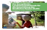 Der Europäische Landwirtschaftsfonds für die Entwicklung des … · 2012. 4. 4. · Innovation ist eines davon. Sie soll lokale Aktionsgruppen motivieren, ... lokale Aktionsgruppen
