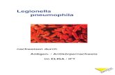 Legionella pneumophila - Startseite · 2017. 2. 9. · Legionella pneumophila wurde 1979 als Ursache eines mysteriösen Ausbruchs einer akuten, fatalen Pneumonie bei einer Legionärs-Versammlung,