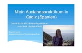 Mein Auslandspraktikum GesaVorwerk · Mein Praktikumsbetrieb Reisebüro Viajes Iberia in Cádiz gehört zu Orizonia (Reiseveranstalter) in 21 Ländern ansässig, ca. 5000 Mitarbeiter