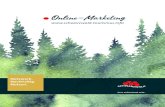 Online-Marketing der STG 2020 - schwarzwald-tourismus.info€¦ · Online-Marketing . Online-Marketing Top 1 bei GOOGLE/Suchmaschinenplatzierung 16 Mio. Seitenaufrufe 5,1 Mio. Sitzungen,