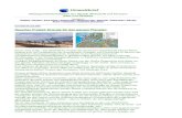 Umweltbrief Juli 2009 Strom ohne Ende - das DESERTEC Projekt der Deutschen Gesellschaft Club of Rome