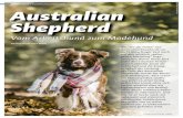 VORGESTELLT | AUSTRALIAN SHEPHERD Australian Foto: … · 2017. 11. 30. · bären, eher Berner Sennenhund. Mit riesigen „welpenartigen“ Tatzen und einer langen, schmalen „Collie-Nase“.