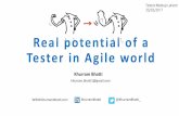 Real potential of a Tester in Agile world · 2017. 12. 7. · Test Execution Test Monitoring Release(able) Tests Definition of Ready INVEST Acceptance Test Unit Tests User Story Levels