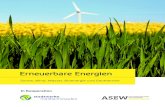 Erneuerbare Energien - alemannenenergie · PDF file Erneuerbare Energien – Sonne, Wind, Wasser, Bioenergie und Geothermie |2 EINLEITUNG Zu den erneuerbaren Energien zählen Wind-,