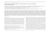 Fatty Acid Phytyl Ester Synthesis in Chloroplasts of ...May 21, 2012  · Fatty Acid Phytyl Ester Synthesis in Chloroplasts of ArabidopsisW Felix Lippold,a,1,2 Katharina vom Dorp,a,1