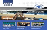 Seite 8...ECHO BSV BSV-Echo Ausgabe 42 - Juli 2015  Die Sportanlage an der Von-Galen-Straße im neuen Glanz! Seite 8 VON INSEKTENHOTEL BIS …