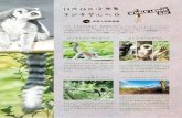 WORLD LEMUR DAY - Ueno Zoo · 2018. 10. 26. · DAY . WORLD LEMUR DAY . Title: 世界キツネザルの日チラシ校了版 Created Date: 10/26/2018 9:08:12 AM ...