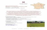 28 2018 850 EUR - Noble Wine · SIA “Noble Wine” • +371 20102020 • info@noblewine.lv • ФРАНЦУЗСКАЯ КЛАССИКА ВИННЫЙ ТУР ПО ВИНОГРАДНИКАМ