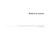bkvcom - PIU-PRINTEX1. Die Konvertierung in Word, Excel oder in eine Internetseite. Vorteil: diese Seiten können individuell gestaltet und mit Bild ausgestattet werden. Nachteil:
