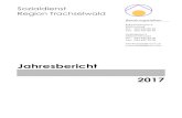 Region Trachselwald · 2020. 5. 4. · Ende Oktober 2017 vom Sozialdienst Region Trachselwald. Im September 2017 führte das Regierungsstatthalteramt Emmental, unsere Aufsichtsbehörde,