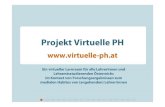 Projekt Virtuelle PH - virtual-campus.fh-joanneum.atvirtual-campus.fh-joanneum.at/elt11/pdf/7-kohl_schramml.pdf · (Medienbiographie) und Kapitalausstattung. Zentrale Ergebnisse Befunde