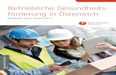 Betriebliche Gesundheits- förderung in Österreich · PDF file Das Österreichische Netzwerk Betriebliche Gesundheitsförderung (ÖNBGF) steht für Gesundheit und Erfolg in Unternehmen.