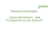 Ressourcenprojekt: „Gesunde Klauen - das Fundament für die ... · • Verbesserung der Nachhaltigkeit in der Nutzung von natürlichen Ressourcen in der Landwirtschaft: 6 Jahre