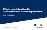 Fördermöglichkeiten für Sportvereine in Schleswig-Holstein€¦ · Umsetzung von Maßnahmen im öffentlichen Raum auf Basis Sportentwicklungsplanung g. Fußball Fan-Projekte h.