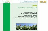 Sorghum als Biogassubstrat · 2016. 9. 7. · Sorghum als Biogassubstrat Präzisierung der Anbauempfehlungen für bayerische Anbaubedingungen Karen Zeise Julia Haller Anja Hartmann