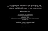 Molecular Simulation Studies of Peptide Aggregation in ... · Molecular Simulation Studies of Peptide Aggregation in Small Finite Sized Systems and Near Surfaces Dissertation zur
