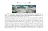 Panama Info - Donutsdocshare04.docshare.tips/files/1290/12900658.pdf · 2017. 2. 3. · Panama Info Nr. 94 Februar 2009 Riesige Überschwemmungskatastrophe in Panama Wenn in Panama