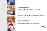 Betriebliches GesundheitsmanagementBetriebliches Gesundheitsmanagement Gesund im Betrieb – Stress meistern Wiesbaden, 9. Oktober 2014 Dr. Ulrike Hein-Rusinek, Leitende Betriebsärztin
