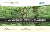 NATURA 2000 IM WALD VON BADEN-WÜRTTEMBERG · 2019. 7. 28. · Natura 2000 löst sich hierbei bewusst von dem Gedanken, dass der Schutz der Natur und die Landnutzung von Grund auf