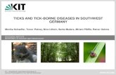 TICKS AND TICK-BORNE DISEASES IN SOUTHWEST GERMANY · nationales Forschungszentrum in der Helmholtz-Gemeinschaft ZOOLOGICAL INSTITUTE DEPARTMENT OF ECOLOGY AND PARASITOLOGY TICKS
