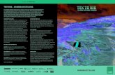 TEKTONIK – WANDERAUSSTELLUNG · 2018. 6. 21. · TEKTONIK – WANDERAUSSTELLUNG Im UNESCO-Welterbe Tektonikarena Sardona erhält man weltweit einzigartige Einblicke in die Entstehungsgeschichte