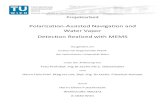 Polarization/Assisted!Navigation!and! Water!Vapor ...gebeshuber/BSc_Thesis_Oliver_Futterknecht_… · 2 Polarization-Assisted Navigation Reference: [2, (Bence Suhai and G abor Horv