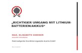 Pr sentation Mag. Giehser 2017-04-04 Batterien-Gipfel · 2017. 4. 21. · • Repräs. Meinungsumfrage 2011 und Schülerbefragung 2012 • Website elektro-ade.at 2012 • EAG- und
