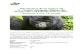 Primatenreise durch Uganda mit Dr. Thomas Geissmann ... · Tag 7: Kibale Nationalpark – Schimpansen-Tracking Heute gehen wir ein zweites Mal auf ein Schimpansen-Tracking, dieses