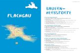 FLACHGAU | 63 BAUERN HERBSTORTE FLACHGAU · 2017. 5. 5. · Bauernherbst im Salzburger-Land: Es kann auch am Ende des Sommer noch durchaus pri-ckelnd werden. TIPPS. 26.8.2017 –