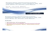 Kooperation Hochwasserschutz zwischen BMVIT und Ländern … · 2012. 3. 14. · SEE-Projekt Danube FLOODRISK (Erstellung transnationaler HW-Risikokarten, Schaffung einer Grundlage