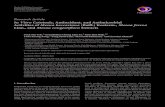 Hindawi Publishing Corporationdownloads.hindawi.com/journals/bmri/2013/517072.pdf · 2019. 7. 31. · BioMed Research International and prevent oxidative damage. Mesua species belong