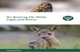 Ihr Beitrag für Wild, Jagd und Natur - Jagdverband · Jäger zählen Biotopschutz, Biotopvernetzung und gezielte Schutzmaßnahmen für gefährdete Arten. Um eine möglichst artenreiche