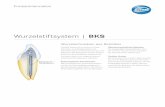 Wurzelstiftsystem | BKScms.kometdental.de/.../media/412436V1_PI_DE_BKS.pdf · Das BKS System ist ein einfach zu hand-habendes, zuverlässiges System mit Wurzelschrauben aus Reintitan