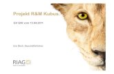 Projekt R&M Kubus. - GNI · Projekt R&M Kubus • 13.04.2011 5 Reichle Immobilien AG als Bauherr. Undelegierbare Aufgaben: was, wie, wann, wo definieren Um höchsten städtebaulichen
