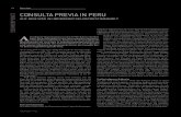 FELIX FINK CONSULTA PREVIA IN PERU SCHWERPUNKT · CRP, Congreso de la Republica del Peru, Ley del Derecho a la CP a los Pueblos Indgenas u Originarios, reconocido en el Convenio 169